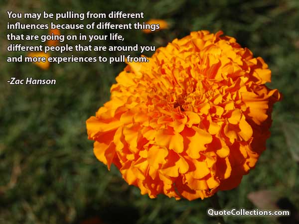 Zac Hanson Quotes1